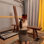 客户体验系列之四中集 口球 欧式紧缚