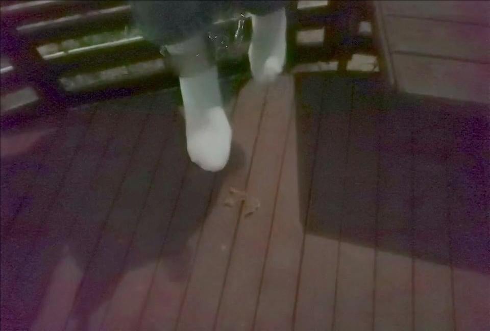 第十三波的视频~-3