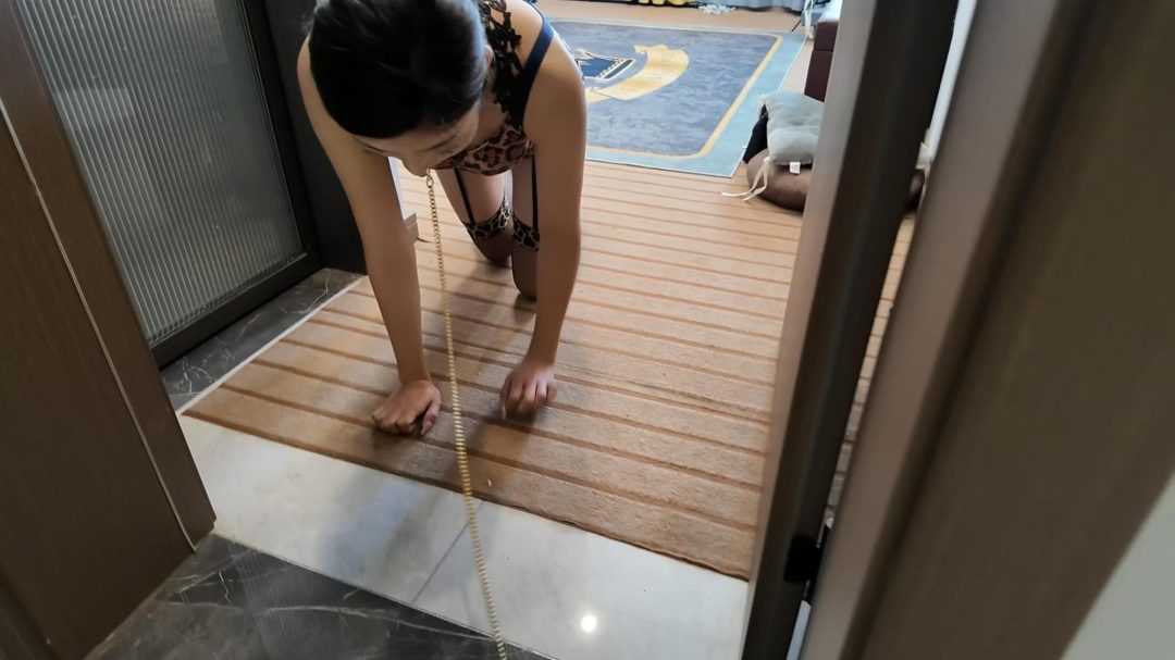 夜莺的陷落下集-4