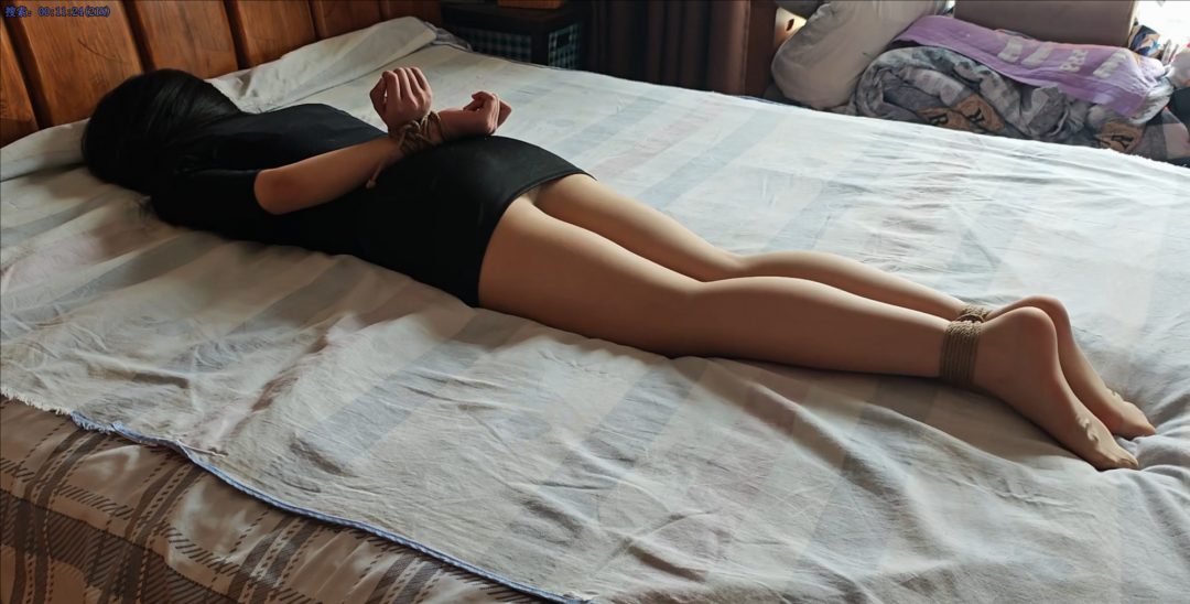 肉丝包臀裙驷马挣扎放置-6