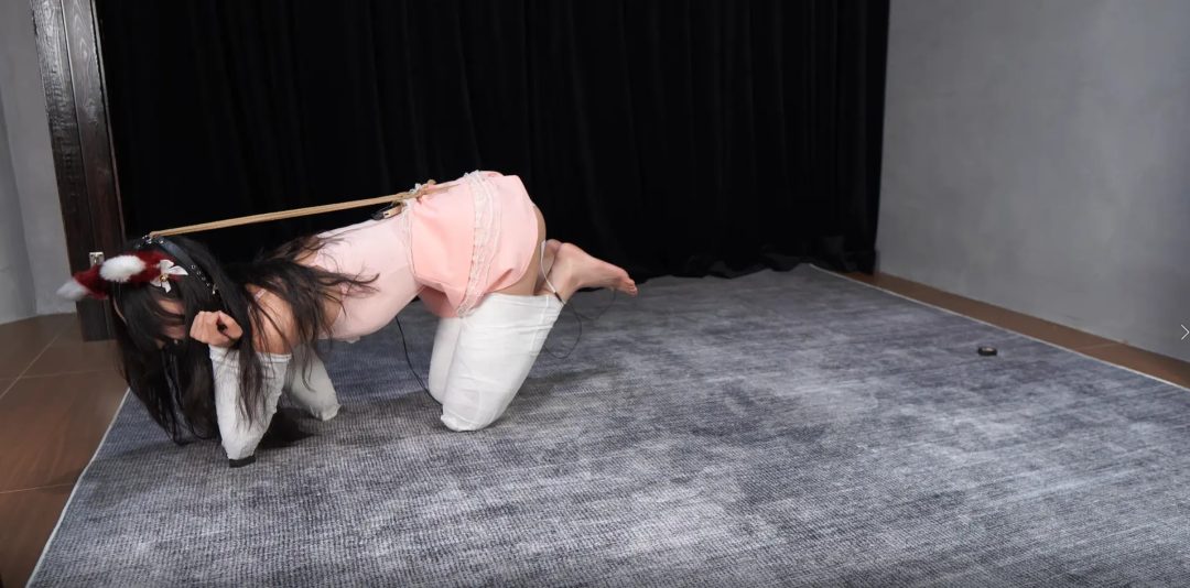 【试炼工作室】【定拍】-倩倩人形犬电击特辑（上）（郊狼100/被电的一直喊疼/膝盖手肘被磨破）-3