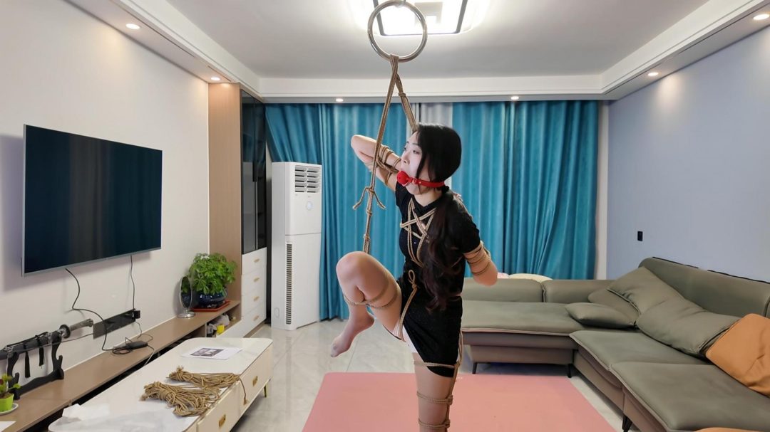 定拍小夏苏秦背剑1-9