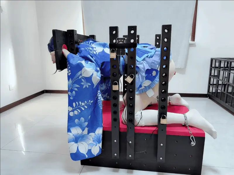 coser小伪娘 在拘束架上各种玩弄，皮鞭皮拍、郊狼，挑战极限-4
