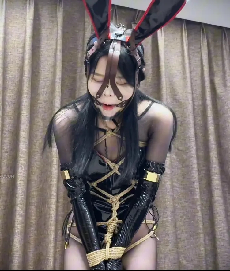 女仆果子-1