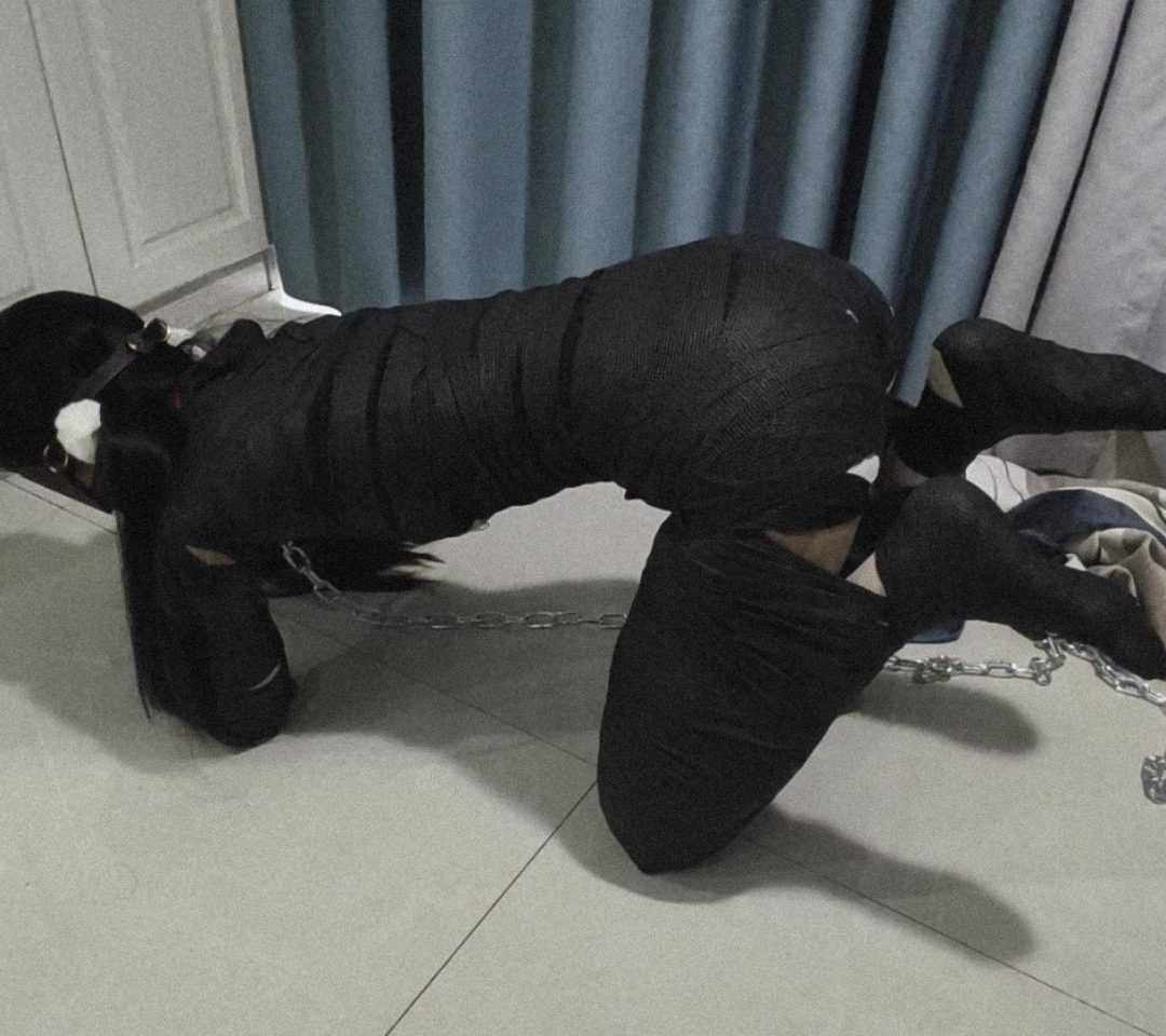 溪溪k9捆绑训练 给溪溪绑成小狗训练4肢走路，第一次不太熟练，拿着小鞭子狠狠督促一下-2
