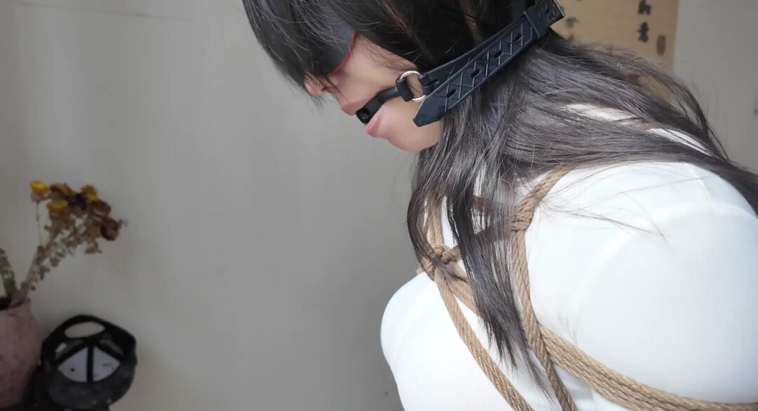 连体瑜伽服 口球眼罩 走绳-2