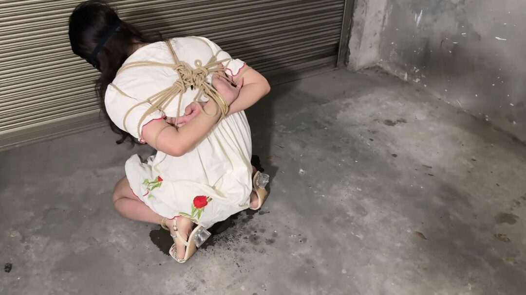 陷落的空姐-1