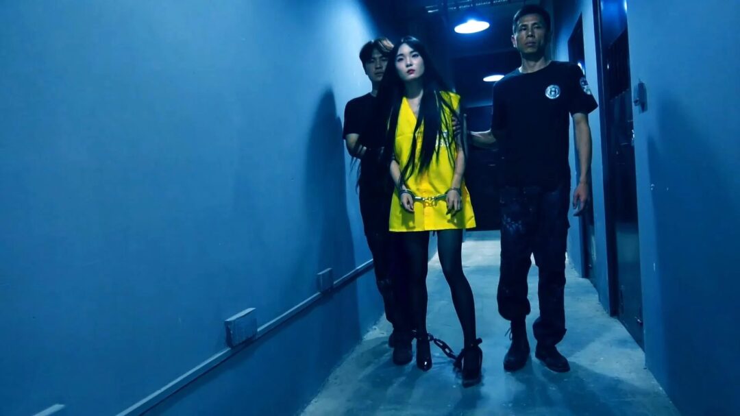 定拍转公映《深渊姐妹花》中集 妹妹被捕后拒不认罪诬陷x品是姐姐的在证据完整的情况两人双双获刑-12