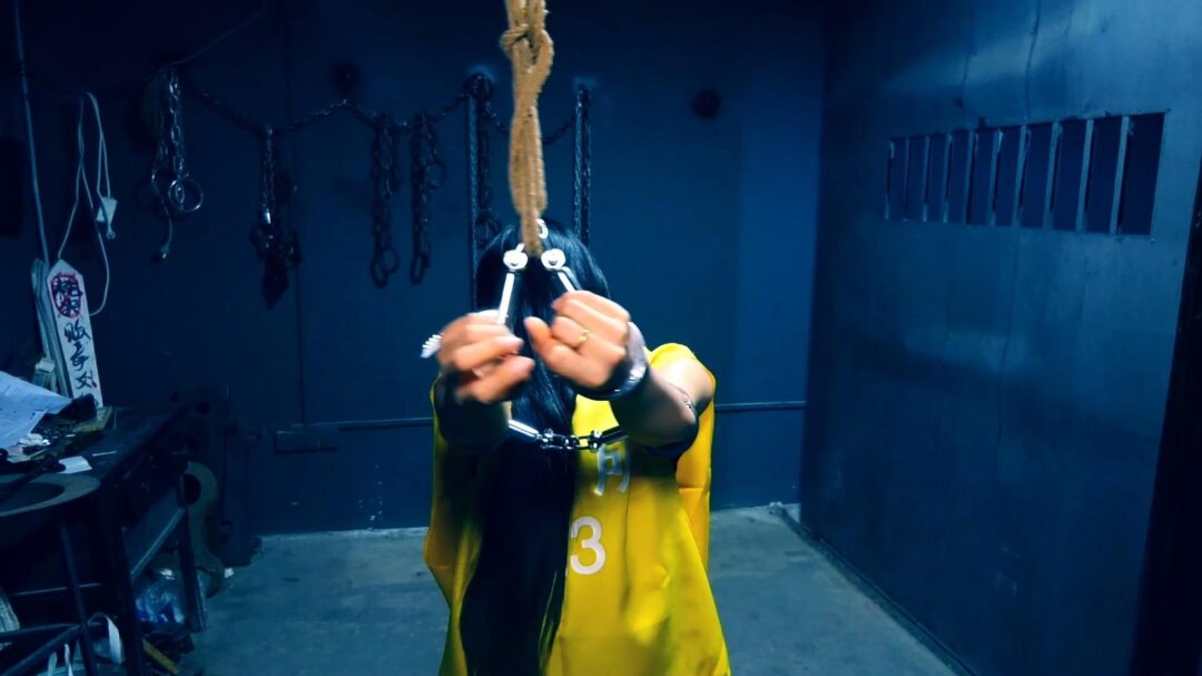 定拍转公映《深渊姐妹花》中集 妹妹被捕后拒不认罪诬陷x品是姐姐的在证据完整的情况两人双双获刑-10