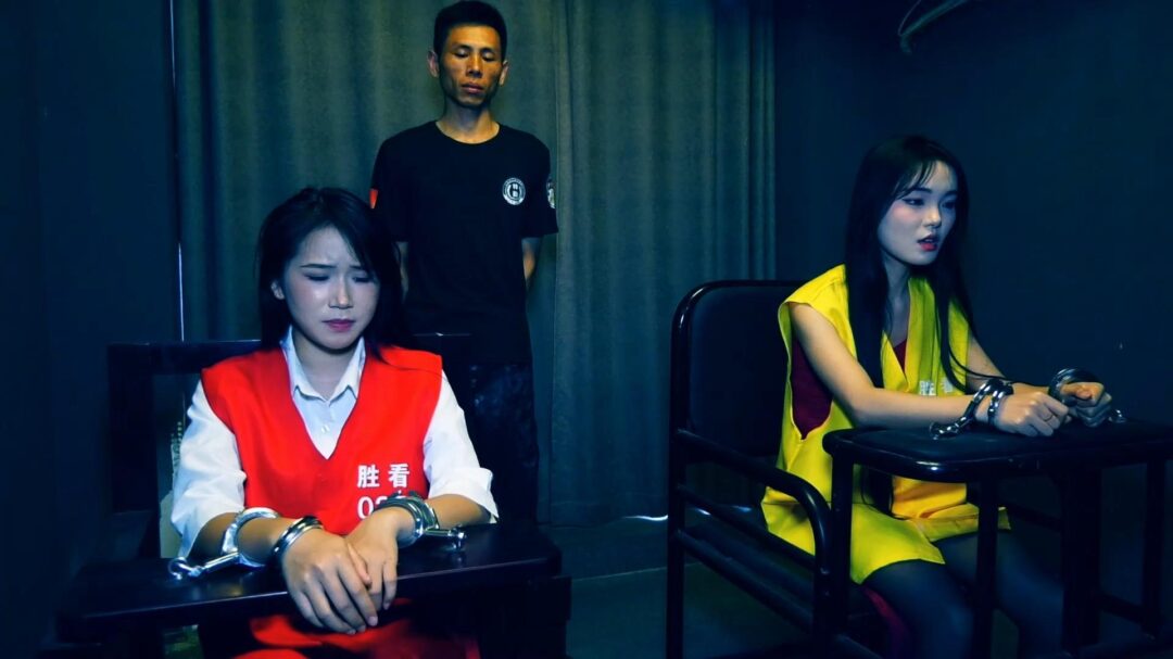 定拍转公映《深渊姐妹花》中集 妹妹被捕后拒不认罪诬陷x品是姐姐的在证据完整的情况两人双双获刑-8
