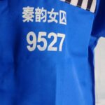 袅袅的囚徒体验
