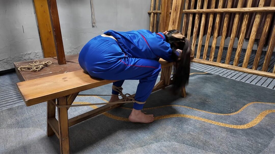 木马审讯佳佳-5