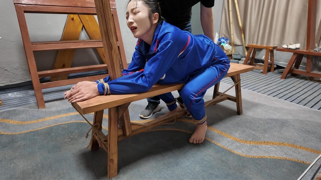 木马审讯佳佳-3