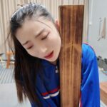 木马审讯佳佳