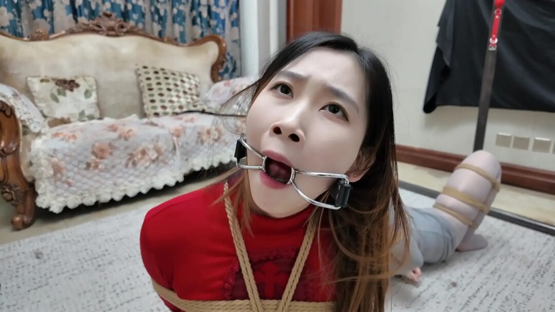 《彩虹与黑猫·新美人捕获主播篇》【红裙黑丝】【灰丝风韵】【直播展示】【游戏比拼】-13