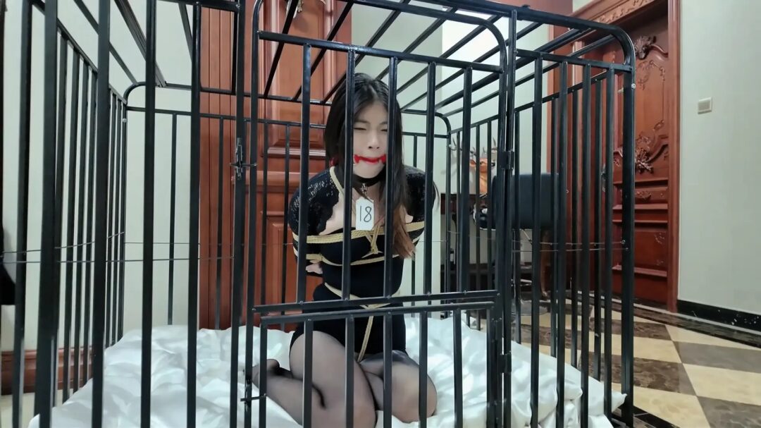 《缚美记·欢迎来到①⑧号车模婧伊的直播间》【经典黑丝】【可怜求饶】【清纯玉女】【长腿诱惑】-6