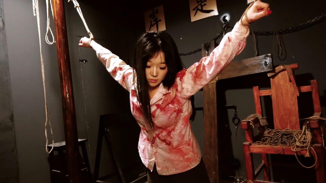 定拍转公映《喋血交通站》下集 交通员不畏生死巧设妙计向组织传达叛徒信息以及向组织告别英勇就义-2