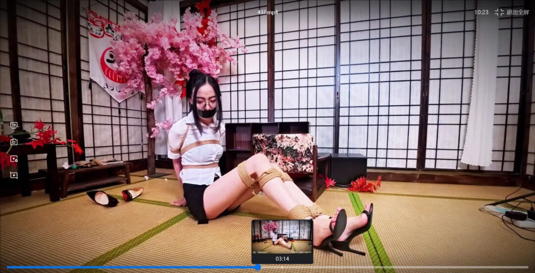 哈莉奎因工作室定拍集锦-封口缚-4