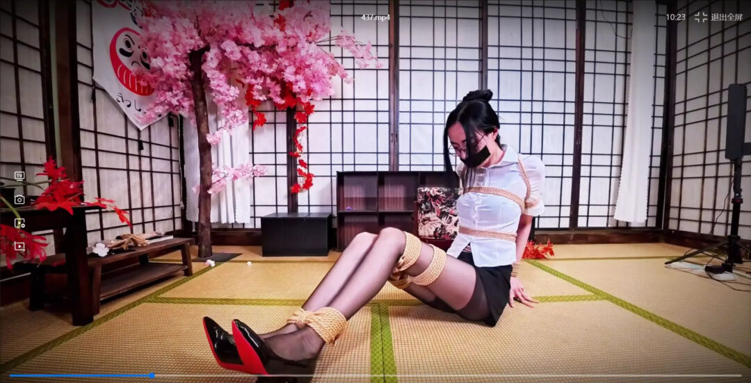 哈莉奎因工作室定拍集锦-封口缚-2