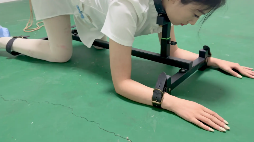 媚娘工作室-k9架折磨被逼飙脏话-2