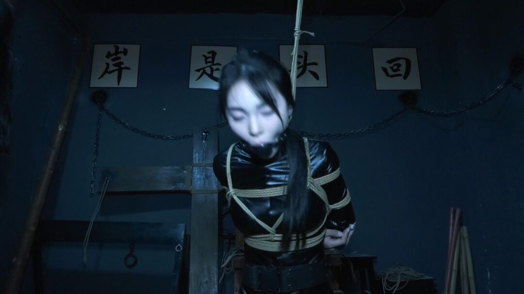 定拍转公映《特工历险记》上集 三名女特工潜伏匪徒基地收集证据不料被匪徒抓获在地牢遭受折磨-5