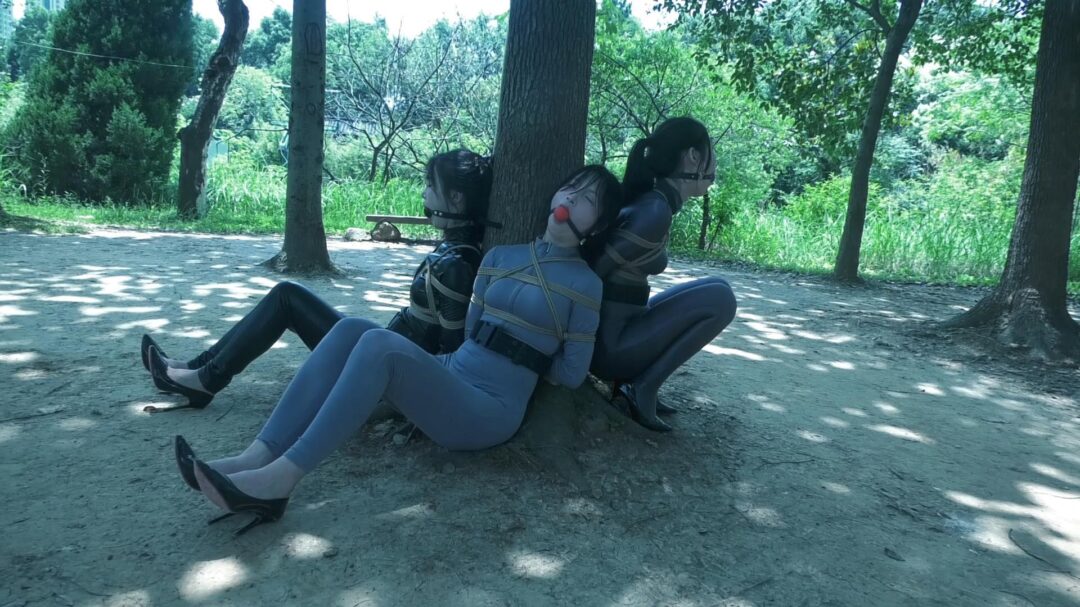 定拍转公映《特工历险记》上集 三名女特工潜伏匪徒基地收集证据不料被匪徒抓获在地牢遭受折磨-4