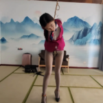 空姐思思的秘密
