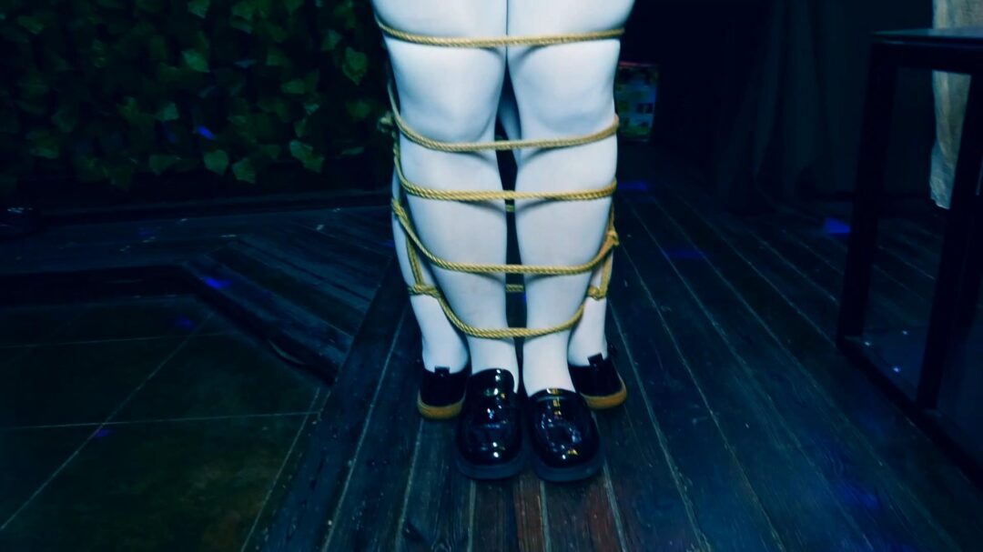 两个站不稳的女仆-3