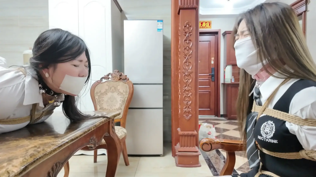 《彩虹与黑猫·新美人捕获母女篇》【母女劫难】【黑白双丝】【放置挣扎】【玩弄刺激】-9
