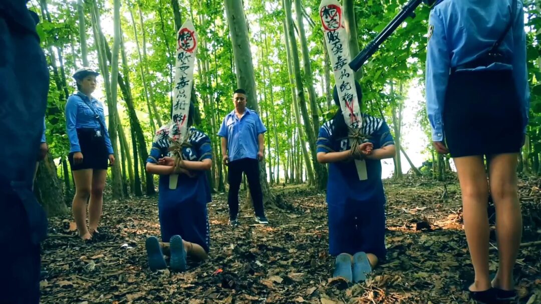 定拍转公映《毒蝎林潇琦末日》 第四集 毒蝎林潇琦和同伙被判死刑立即执行砸死镣五花大绑押赴刑场执行枪决-10