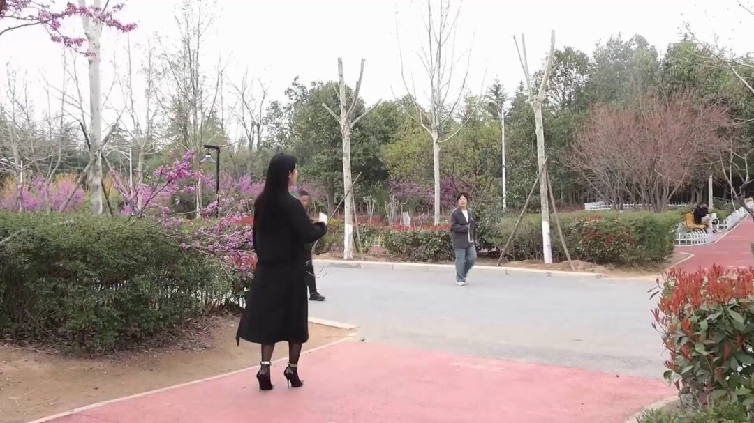 杨若琳公园挑战真人秀节目-3