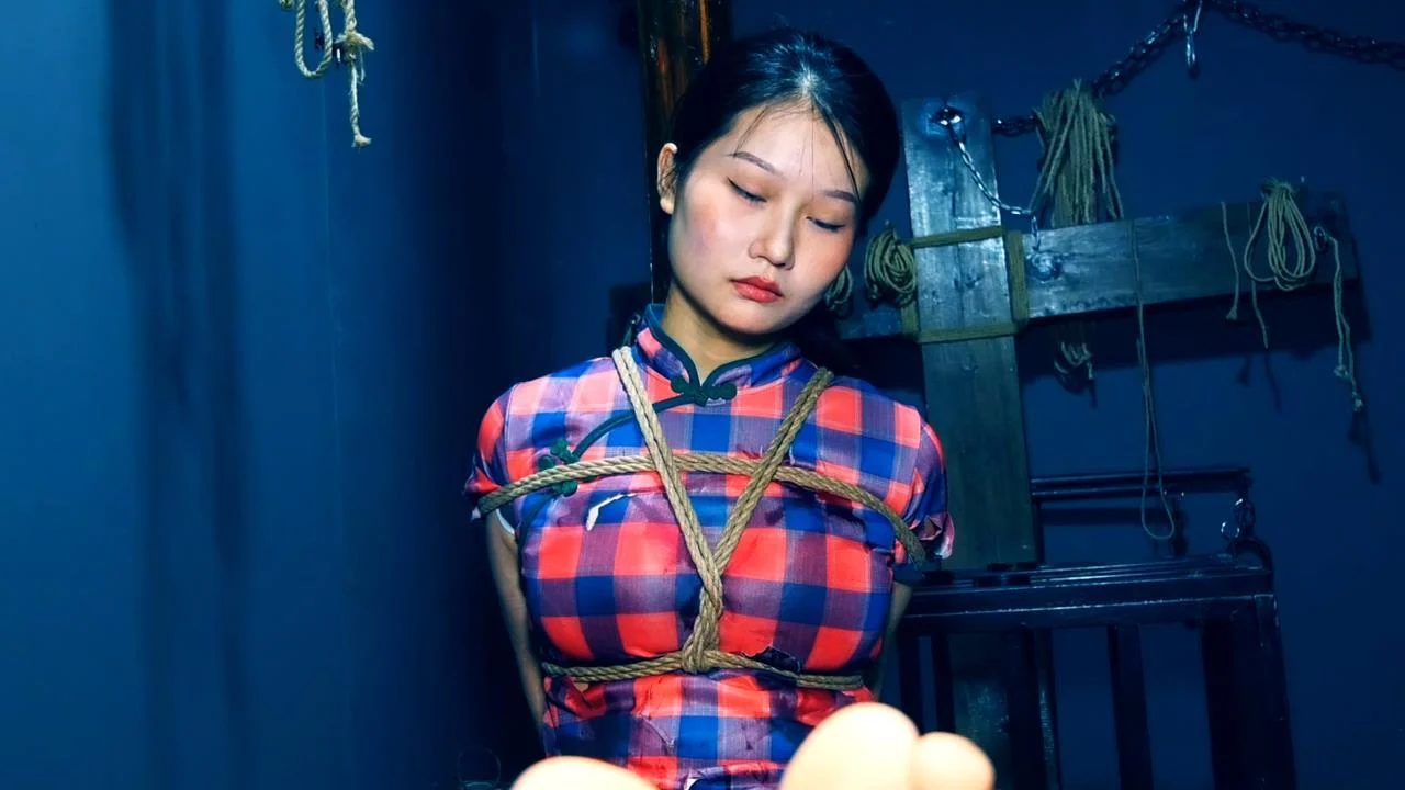 《潜伏的蝴蝶》-3