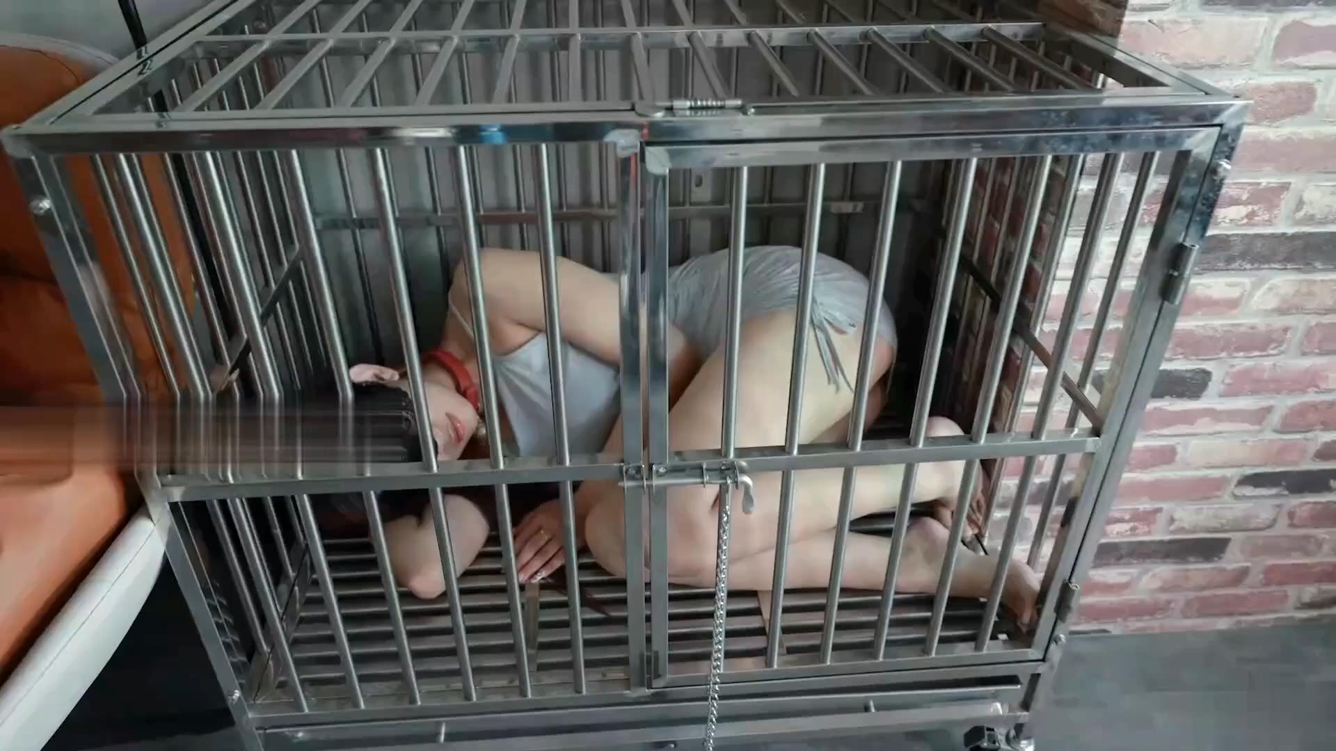 美女宠物日常母狗调教-2